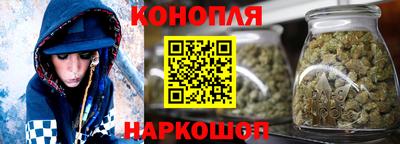 гашик Новокубанск
