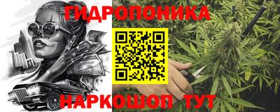 гашик Новокубанск