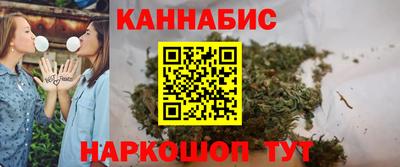 гашик Новокубанск