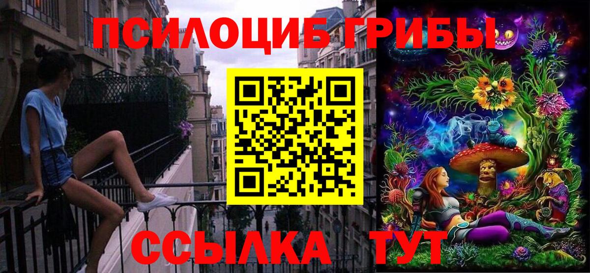 Галлюциногенные грибы MAGIC MUSHROOMS  Вход с VPN  Псилоцибиновые грибы мухоморы  Сергиев Посад 