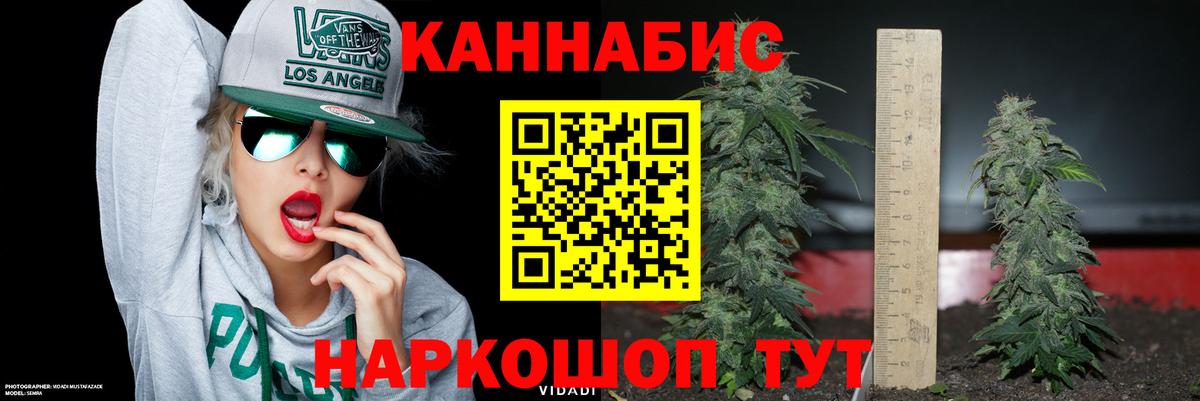 Сергиев Посад  Каннабис семена  Конопля ГИДРОПОН  Вход с VPN 